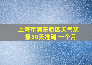 上海市浦东新区天气预报30天准确 一个月